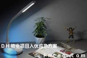 dh物业项目入伙应急方案