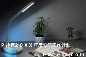 p小区20xx年度安防工作计划