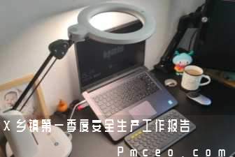 x乡镇第一季度安全生产工作报告