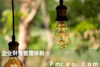 企业财务管理体制