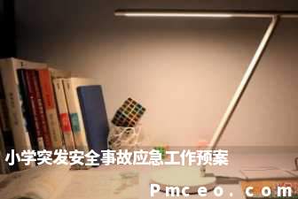 小学突发安全事故应急工作预案