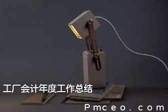 工厂会计年度工作总结