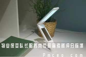 物业保安队长服务岗位检查考核评分标准