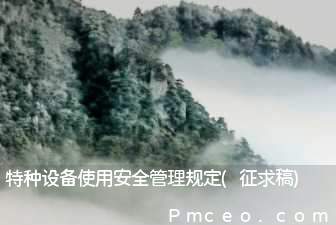 特种设备使用安全管理规定(征求稿)