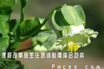 课程改革班主任培训心得体会范本